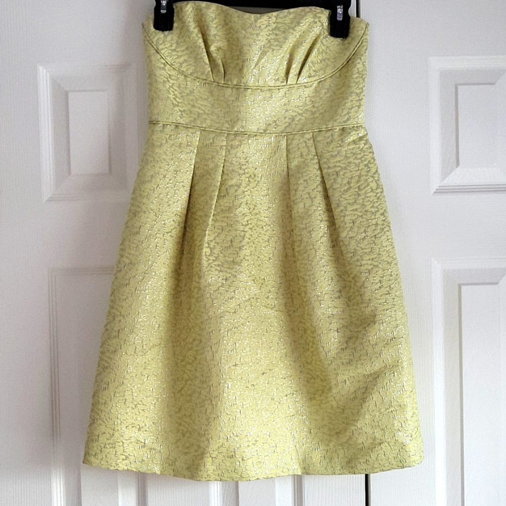 BCBG Dress
